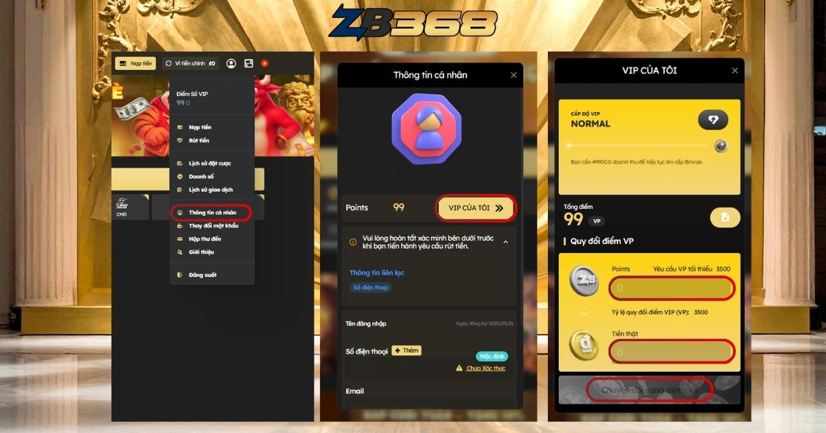 Giao diện website và khu vực VIP tại ZB368